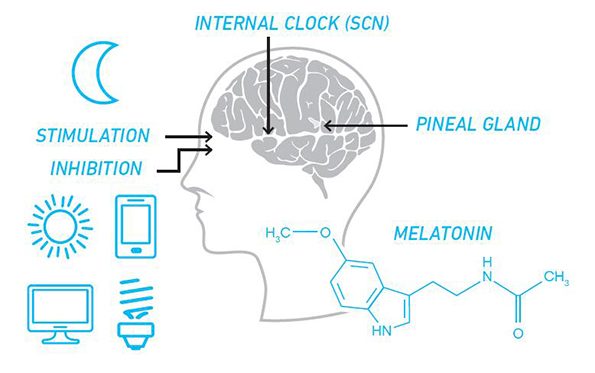 Blue Light Sleep